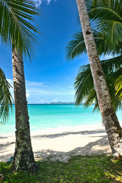 PALAWAN, PHILIPPINES - DECEMBER 21, 2023: Tropical islands  in El Nido on Palawan Island in the Philippines. 6 million tourists visited Philippines in 2016. On a hot sunny afternoon. Beautiful scenery