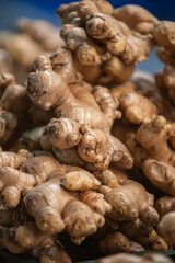 Fototapeta premium Close-up of fresh ginger roots stacked together. Natural food ingredient widely used in cooking, healthy diet, and herbal medicine.