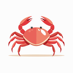 Fototapeta premium Illustration of a bright red crab with large claws and segmented body on a white background