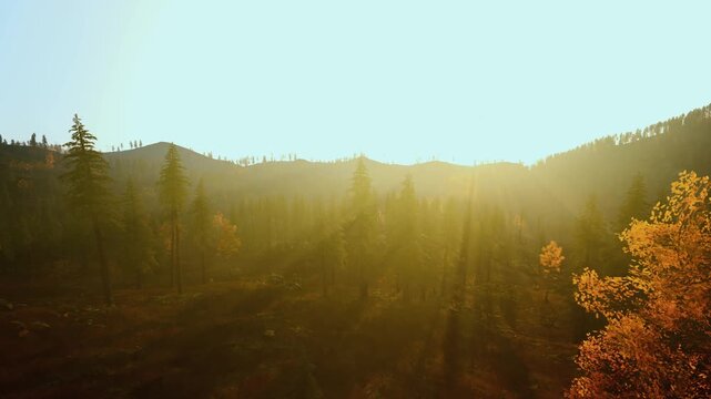 Golden hour mountain valley bathed in warm sunlight, autumn pines glowing, soft morning mist drifting across meadow, long sunbeams stretching from ridge,