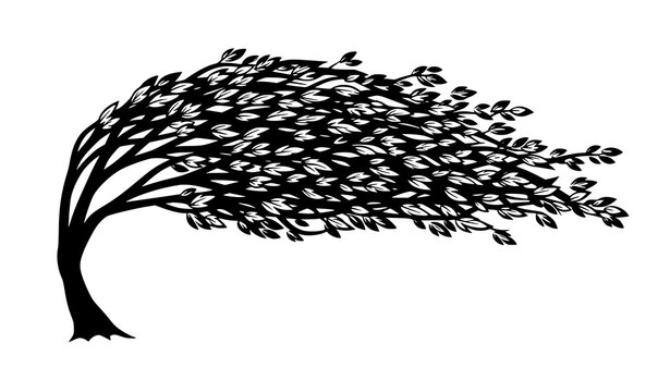 Windswept tree silhouette with curved branches dynamic asymmetrical nature vector illustration