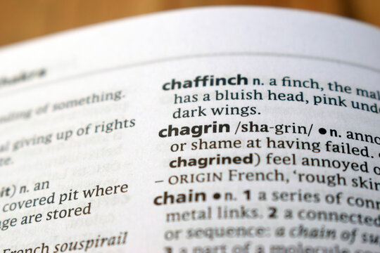 Close Up English Dictionary Page With The Word Translation Of - chagrin