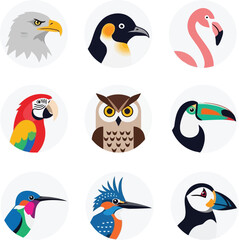 Fototapeta premium Set of Flat Vector Bird Icons Collection Featuring Diverse Species for Wildlife Graphic Design