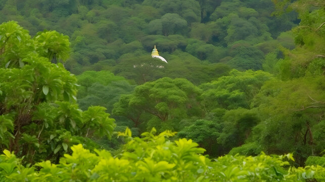 Sacred Buddhist monastery