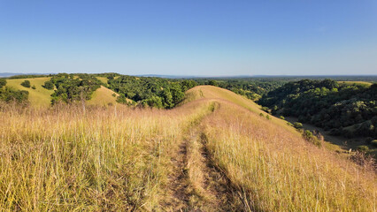 Naklejka premium Tranquil sunny summer landscape with green fields and hills in south-eastern Europe, Serbia.