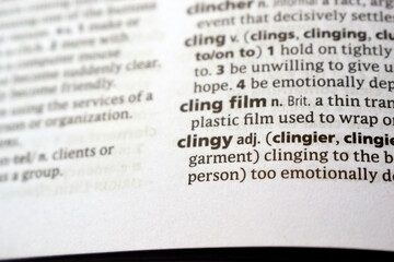 Fototapeta premium Close Up Of English Explanation Dictionary Page Word Of - clingy