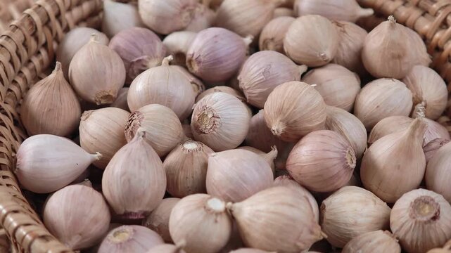 Video of Fresh garlic 