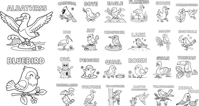 Black and white outline of various bird species with their names birds alphabet