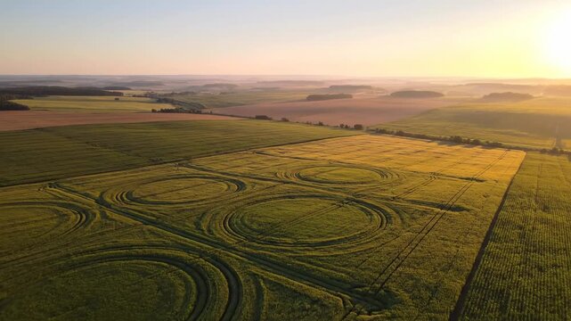 Aerial view of expansive green fields with circular crop patterns illuminated by golden sunlight during sunset, showcasing the beauty of rural landscapes