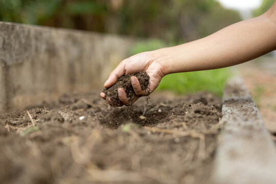 Soil falling from hand in garden for organic farming concept