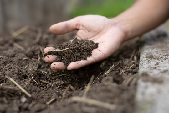 Close view organic soil in hand over ground for gardening use