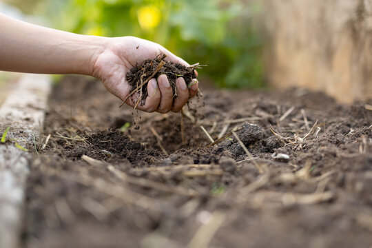 Rich compost soil with organic matter falling from hand in garden