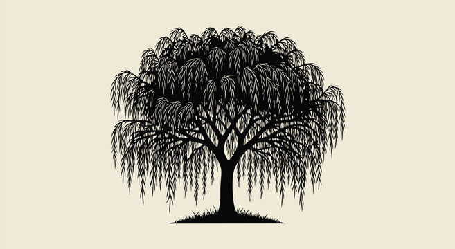 Elegant Weeping Willow Tree Vector Illustration with Cascading Branches and Lush Greenery