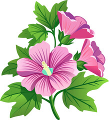 Obraz premium Mallow flowers 