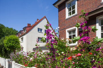 Modernes Wohngeb&auml;ude aus Backstein mit Blumen und Vorgarten im Fr&uuml;hling , Mehrfamilienhaus, Bremen, Deutschland