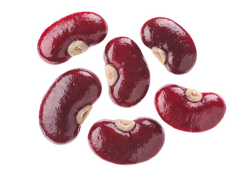 Group of raw kidney beans isolated on white background showing smooth dark red texture and organic shape for healthy food diet