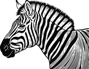 Fototapeta premium zebra head illustration with detailed black and white stripes profile view animal design