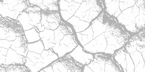 Obraz premium Black and white cracked earth texture background, dry soil parched ground pattern, high contrast grunge overlay art