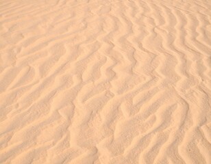 Fototapeta premium Fine Desert Sand Texture with Natural Wind Ripple Patterns, Close-Up of Soft Sandy Surface for Backgrounds or Designs