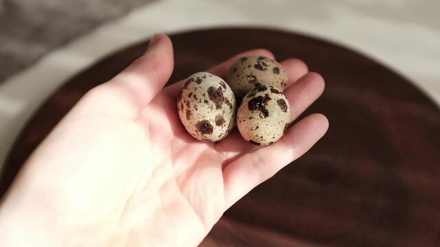 Close-up of fresh speckled quail eggs in a small ceramic bowl, resting on a rustic wooden plate under soft natural sunlight. Aesthetic cinematic video.