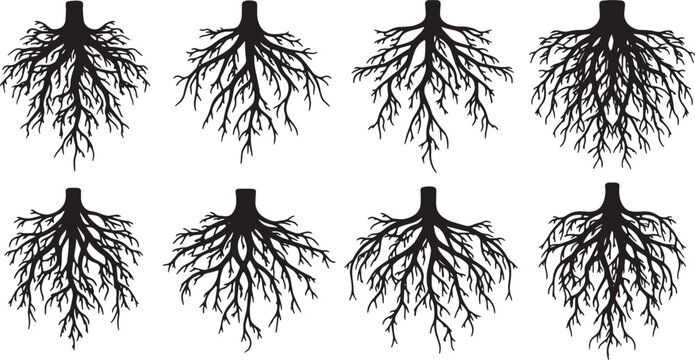 Black Solid Abstract Root Silhouettes Set of Six on White Background