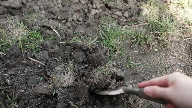 A close-up, high-angle shot captures a person's hand using a small metal hand fork to break up and aerate dark, clumpy garden soil. Preparing the ground for planting during a sunny spring day.