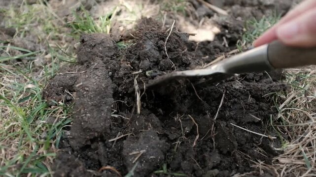 A close-up, high-angle shot captures a person's hand using a small metal hand fork to break up and aerate dark, clumpy garden soil. Preparing the ground for planting during a sunny spring day.