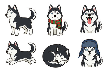 Cute husky dog character set in various poses and emotions including sitting running sleeping and wearing winter hat and scarf flat vector © 张锋