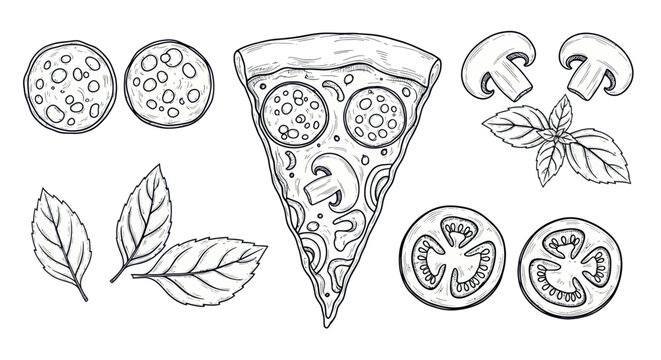 Hand-drawn Pizza Slice Ingredients and Toppings Sketch - Pepperoni, Mushroom, Tomato, Basil