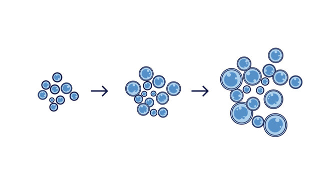 Biological diagram showing the stages of cell division or multiplication from a single cluster to a larger group of blue spheres.