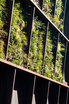 Sustainability focused architecture in Copenhagen Denmark with vertical plants on a green wall facade bringing nature and modern design into urban space