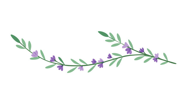 Lavender botanical floral divider with green leaves