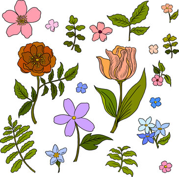 Free hand Sakura flower vector set, Beautiful line art Peach blossom isolate on white background.Cherry blossom illustration set.Element for weding card or printing on backdrop.