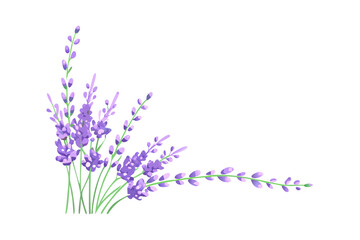 Obraz premium Lavender floral botanical branch arrangement composition