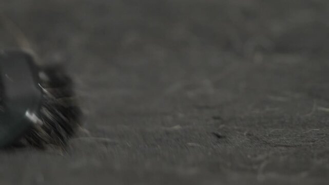 Macro Shot of Vacuum Cleaner Removing Dog Hair From Couch Cover