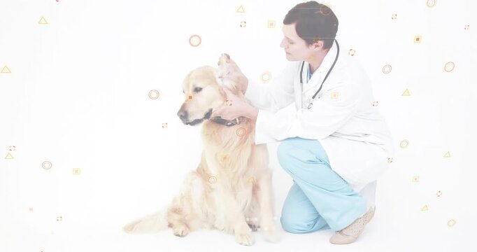 Vet kneeling beside dog securing jaw lifting ear for ear exam while shapes drifting around scene