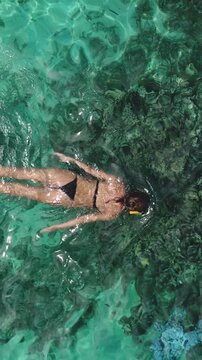 Aerial top view girl swim snorkel over coral reefs crystal water close up. Snorkeling and swimming in sea. Slim woman female in bikini enjoy outdoor activity lifestyle, travel summer holiday vacation.