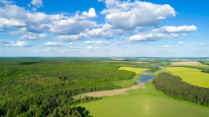 Naklejka premium green field and blue sky