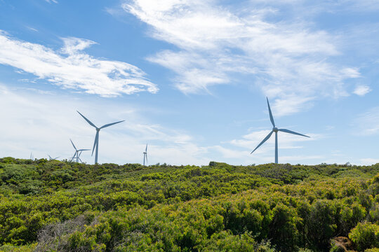 Albany Wind Farm Turbines Against Blue Skies