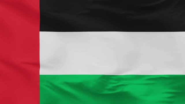 United Arab Emirates  National Flag Waving Animation Background