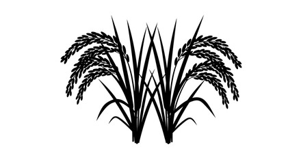 Fototapeta premium Black and white illustration of two stalks of ripe rice grain