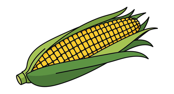 A vibrant and colorful illustration depicts a single ear of corn with bright yellow kernels and green husks