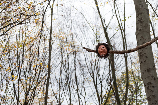 Herbstlicher Wald mit kahlen B&auml;umen, an einem Ast h&auml;ngt ein Puppenkopf, surreal und verst&ouml;rend, D&uuml;sseldorf, Deutschland