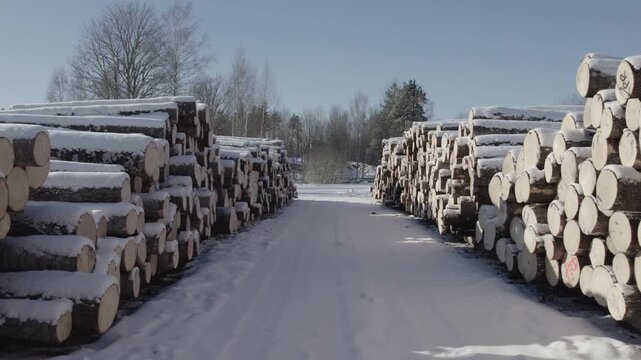 Large stacks of cut timber logs covered in snow in a rural winter setting, with trees and open land in the background. Cold seasonal forestry scene with natural textures and patterns