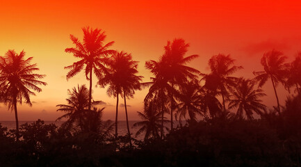 The Tropical  palm trees with red sky sunset silhouette in Summer background © SASITHORN