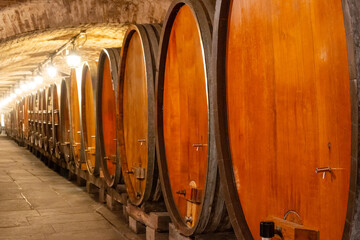 Wine cellar barrels inside historical Strasbourg hospital