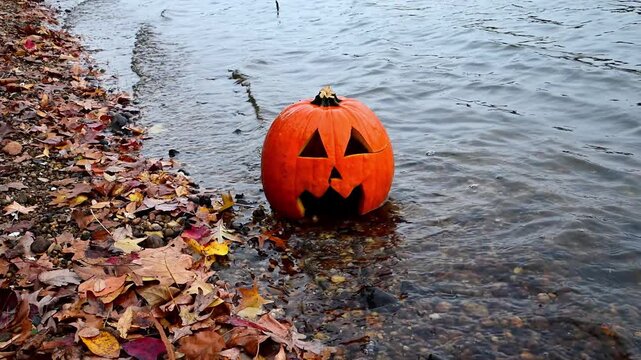 A carved orange pumpkin, known as a Jack-o-lantern (Cucurbita pepo), the principal symbol of the Halloween holiday, floating near the shoreline in autumn in a bay of the Raritan River, New Jersey, USA
