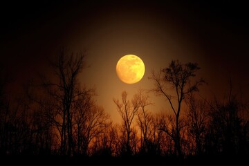 Obraz premium Full moon over silhouette of trees at night