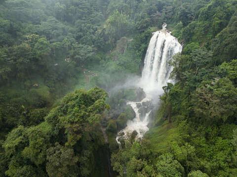 Aerial view of the majestic Curugsewu Waterfall cascading amidst the dense, verdant forest, contrasting the white water against the deep green canopy, Kendal Regency, Central Java, Indonesia.