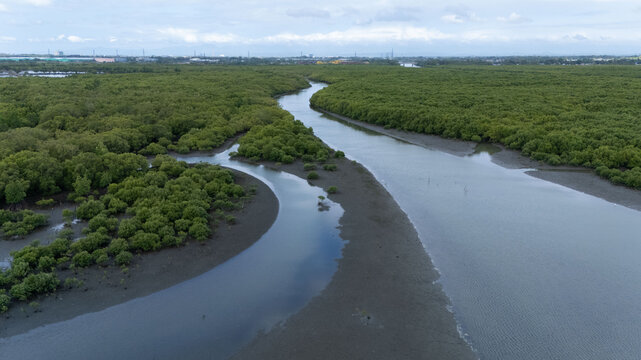 Aerial view of the winding river snaking through a vibrant green mangrove forest under a soft, overcast sky, Iloilo City, Western Visayas, Philippines.